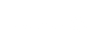 Spital Bülach Logo