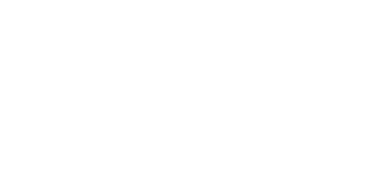 Logo Ronal Group